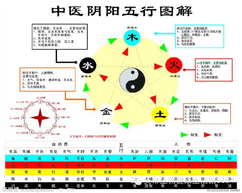 五行的相生相剋